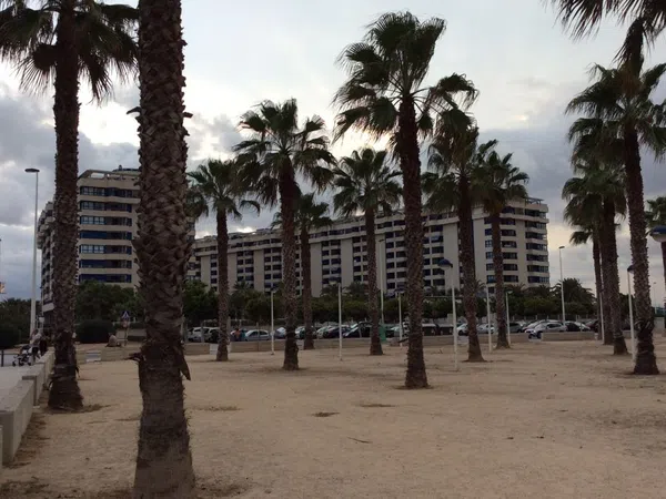 Piso en avenida Mare Nostrum, 15 - Foto 21