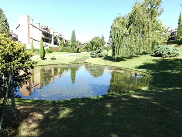 Ático en Paseo del Hontanar, La Finca - Foto 10