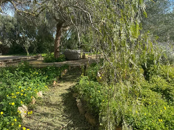 Finca rústica en Diseminado Poligono 4, 64, Es Llombards, Es Llombards - Foto 13
