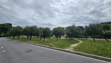 Piso en  Avenida Rey Juan Carlos I 23 - Foto 5