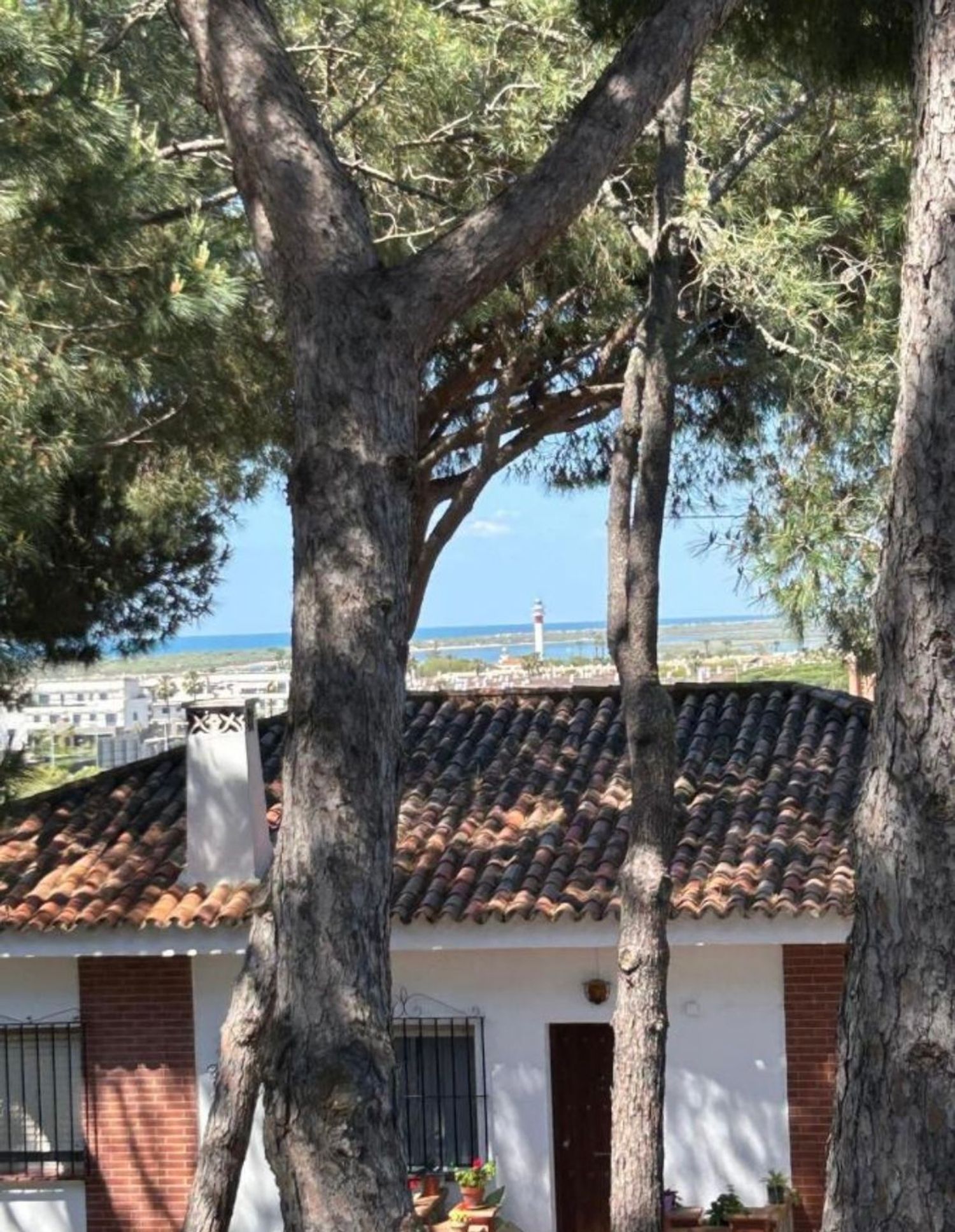 Casa o chalet independiente en Calle Betis, 193, El Rompido, El Rompido - Foto 25