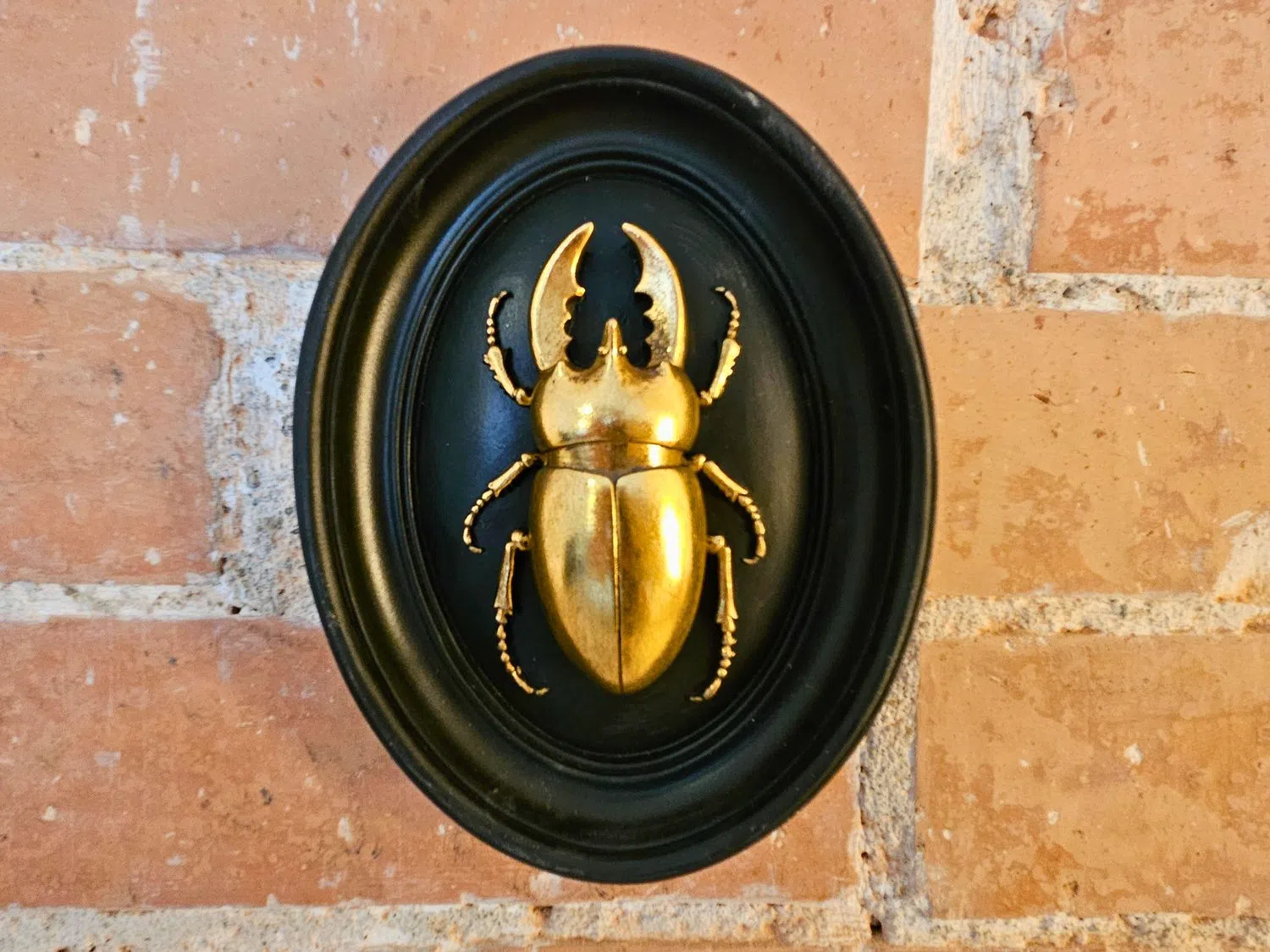 Piso en avenida de la Mare de Déu de Montserrat, 252 - Foto 8