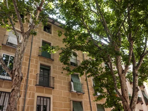 Estudio en calle de la Ribera de Curtidores, 3 - Foto 15