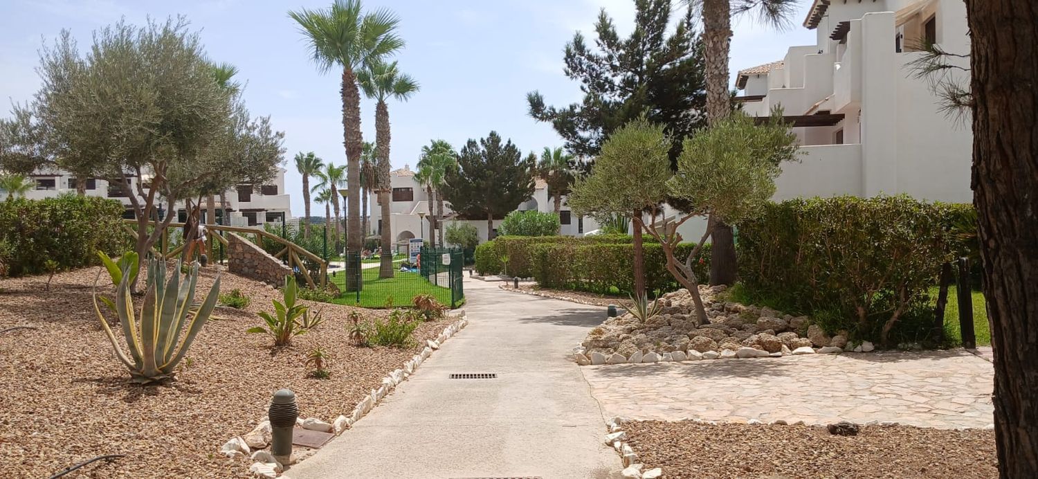 Ático en Avenida Alcazaba, 115, Las Salinas, Las Salinas - Foto 28