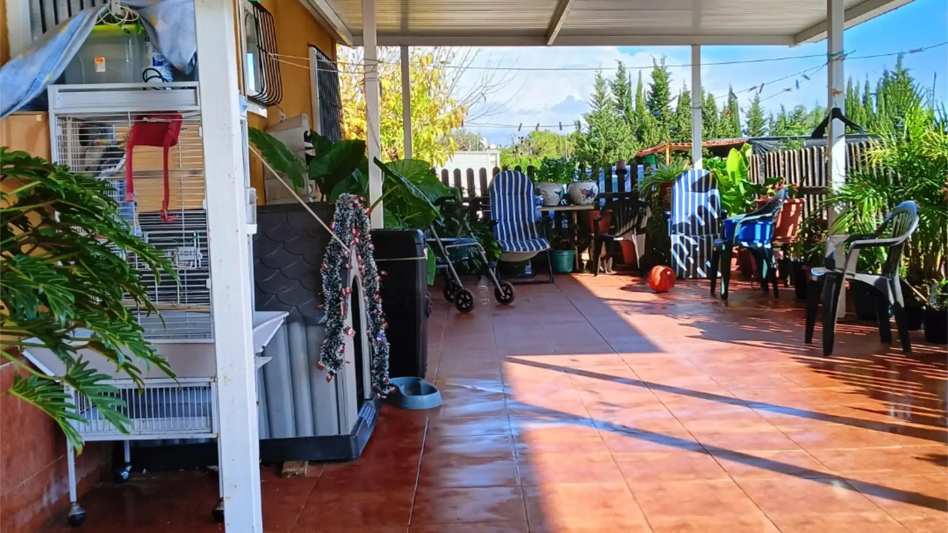 Finca rústica en  Calle Carmen 12 - Foto 24