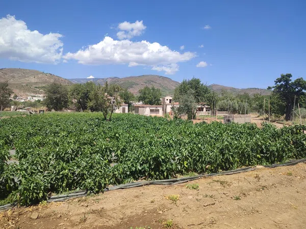 Finca rústica en La vega s/n - Foto 8
