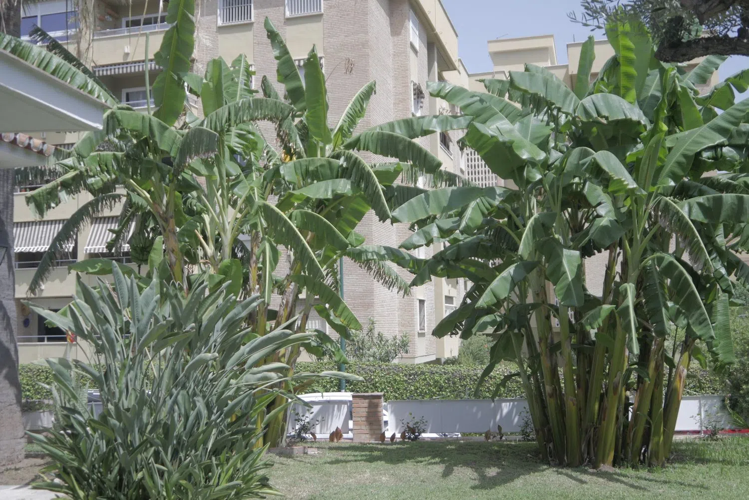 Casa independiente en calle Don Diego de Miranda, 6 - Foto 5