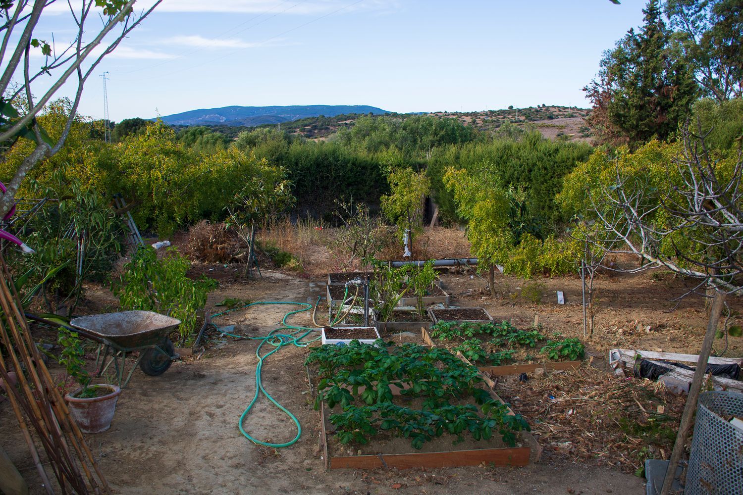 Casa rural en Calle Cerro Marcelo s/n - Foto 4