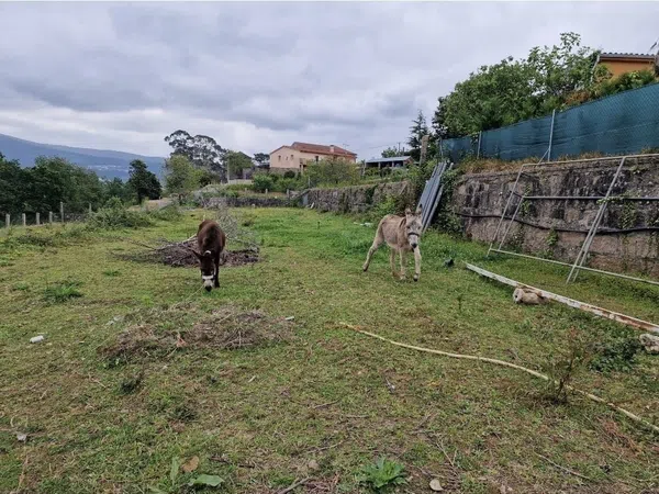 Casa rural en Carril Lugar, 28 - Foto 18
