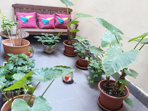 Piso en Barrio El Pla del Remei - Foto 4