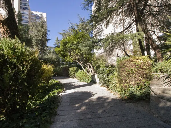 Piso en Calle de Ginzo de Limia, 55, Pilar - Foto 17