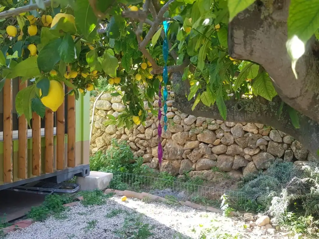 Finca rústica en - Foto 21