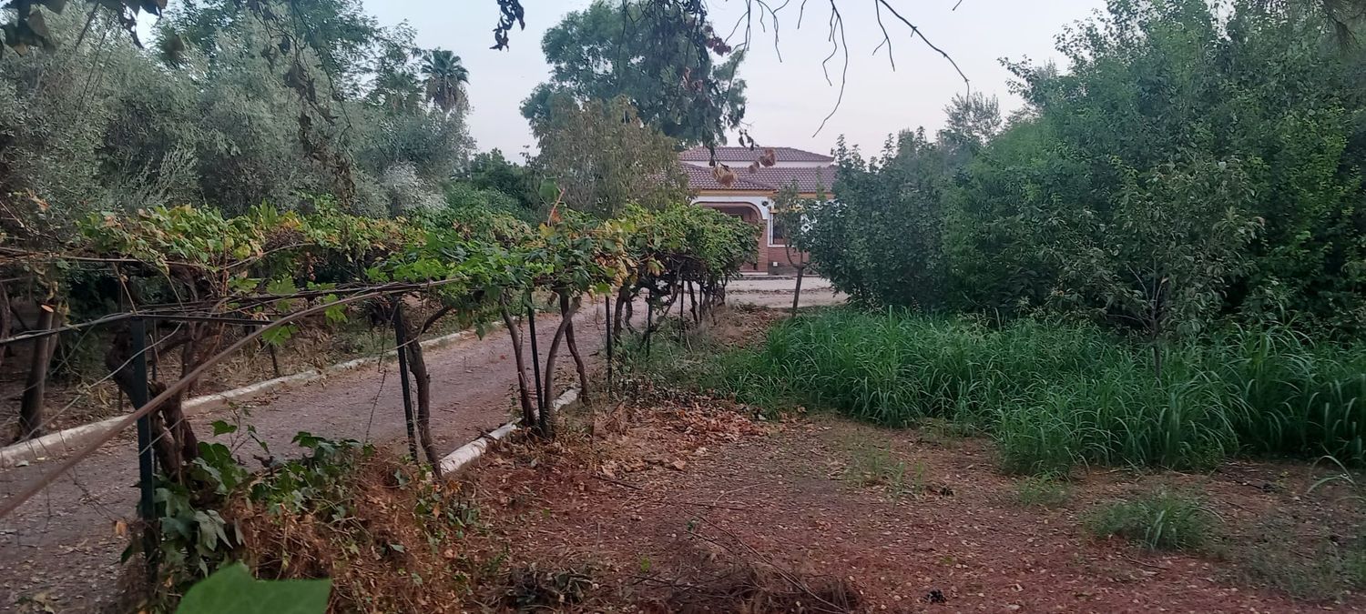 Casa o chalet independiente en Barrio Ochavillo, 276, El Higuerón - Foto 4
