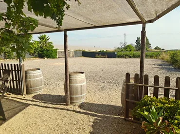 Finca rústica en Algemesí - Foto 16