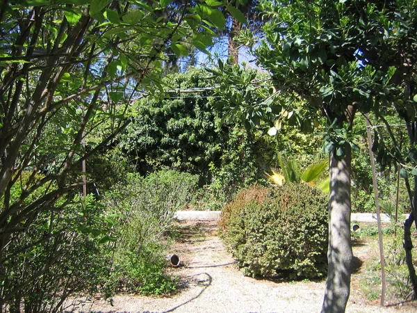 Casa de pueblo en Calle Cerrico de las Moyas, 34 - Foto 36