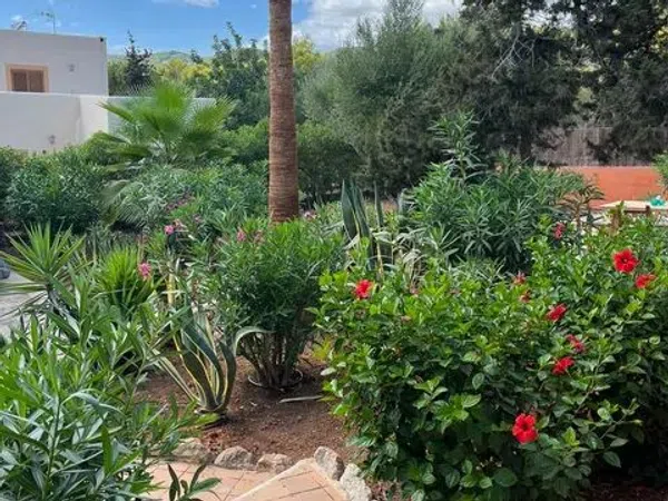 Ático en Calle Verderol, 10, Sant Jordi de Ses Salines, Sant Jordi de Ses Salines - Foto 17