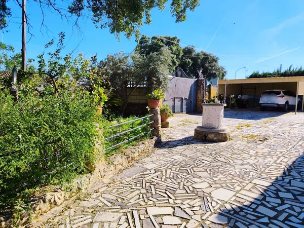 Finca rústica en Calle lentisco (Urbanización acebuchal), 2 - Foto 6