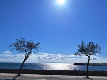 Planta baja en  Palma de Mallorca - Foto 1
