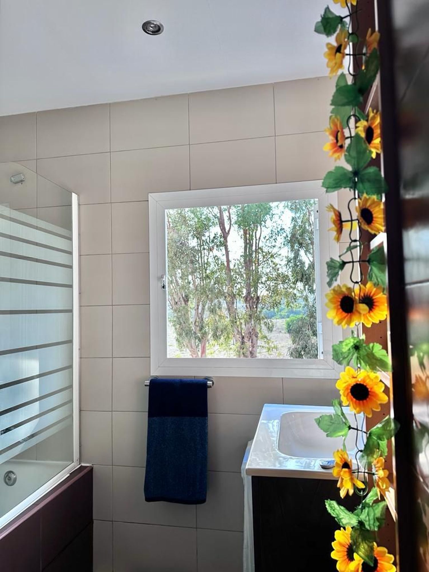 Piso en camino De la cizaña, 20 - Foto 27