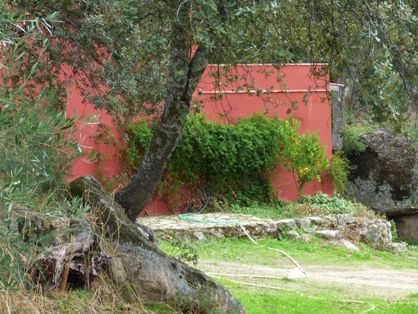 Cortijo en Cortijo en Carretera Albalá del Caudillo s/n - Foto 16