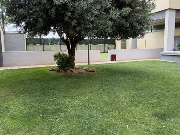 Piso en  Avinguda del Mestre Rodrigo 6 - Foto 24