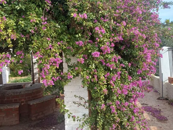 Casa independiente en Av vereda Real, 15 - Foto 6