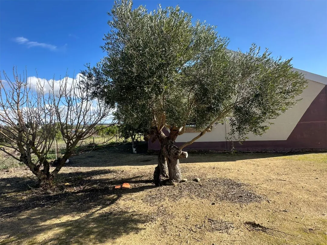 Chalet en  Calle Martín Jiménez 4 - Foto 12