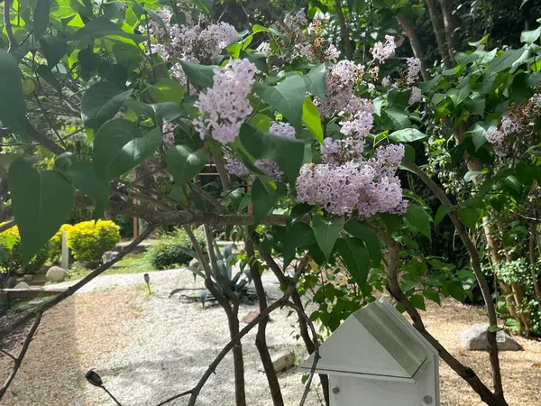 Casa independiente en calle de Hoyos del Espino, 17 - Foto 27