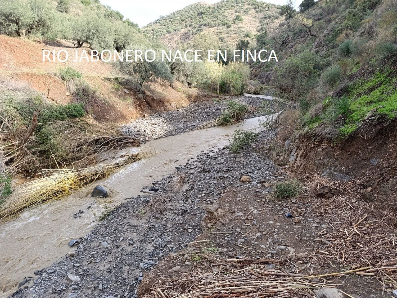 Finca rústica en Calle de Stradivarius, 7 - Foto 4
