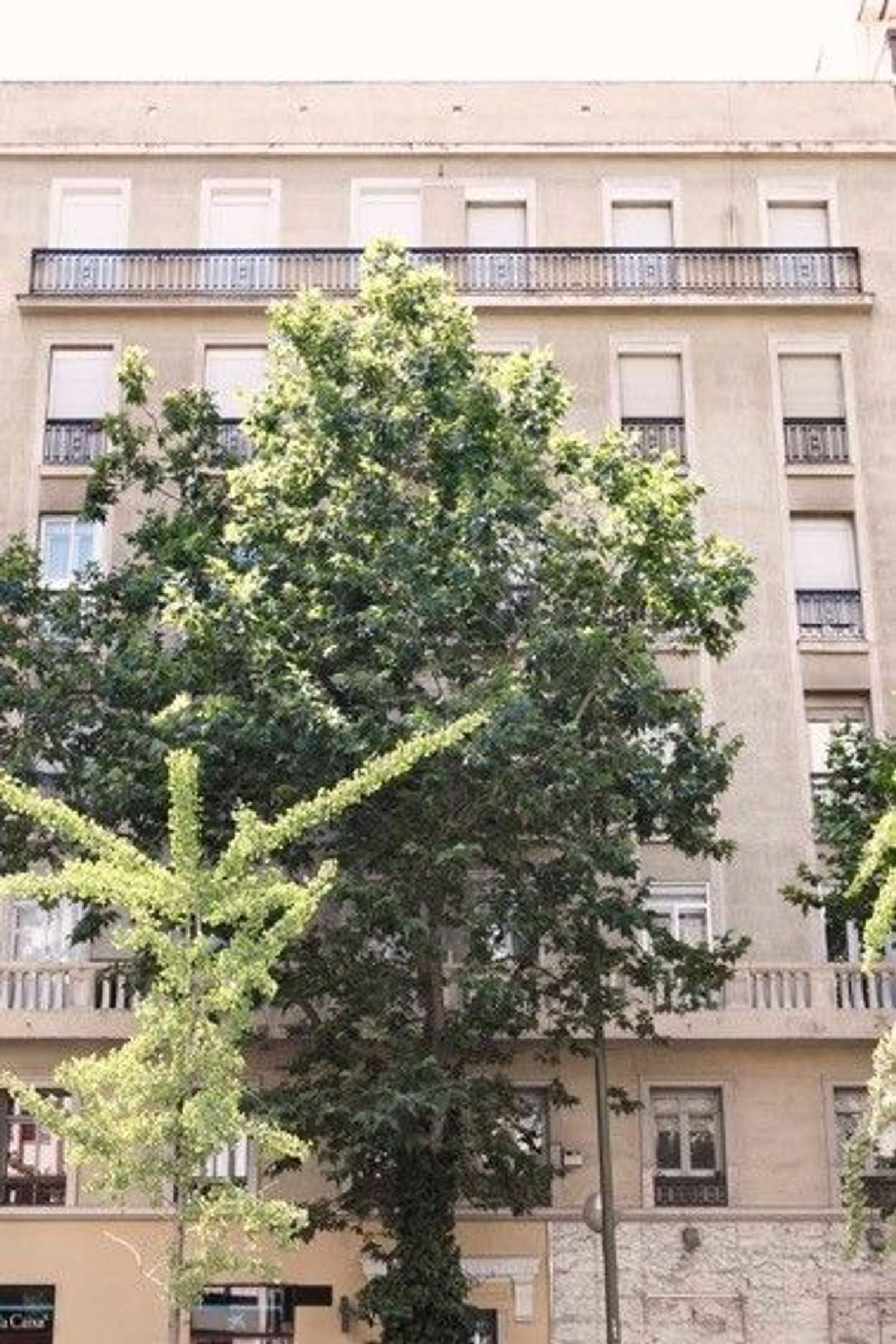 Piso en calle del Príncipe de Vergara, 95 - Foto 15