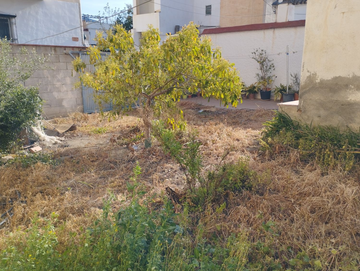 Casa de pueblo en Calle Libertad, 54 - Foto 11
