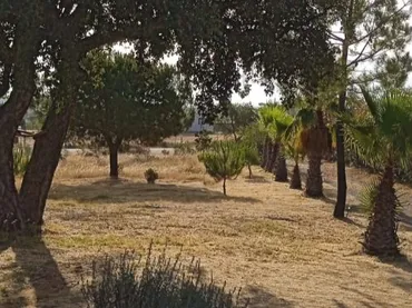 Finca rústica en  Calle la Vega 14 - Foto 14