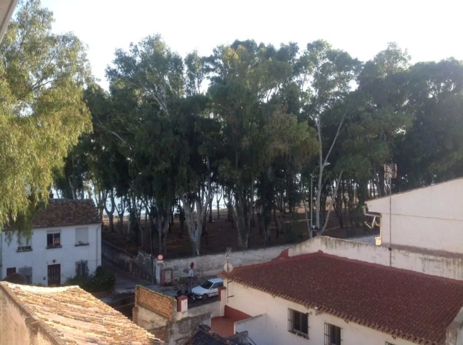 Piso en avenida Juan Sebastián Elcano, 20 - Foto 5