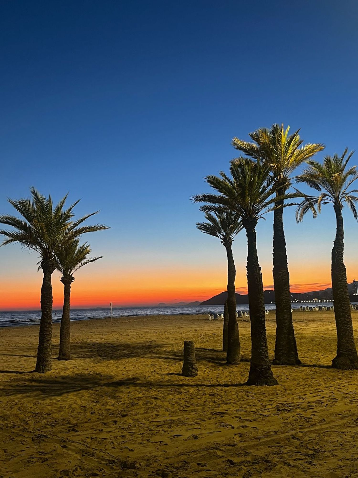 Ático en avenida de Montecarlo, 8 a - Foto 21