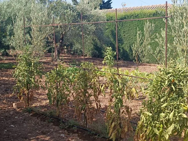 Casa rural en Cuesta Rabana, 17 - Foto 24
