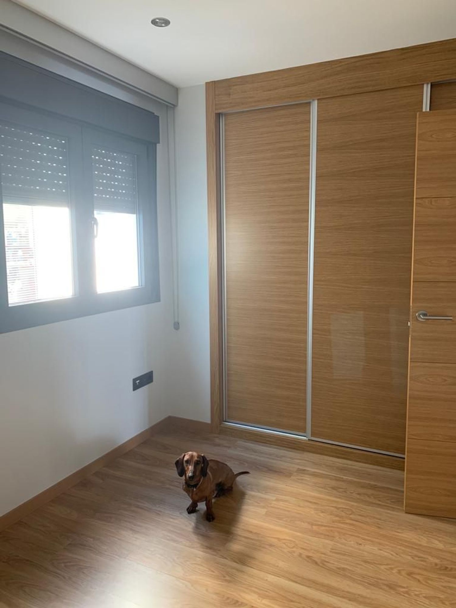 Piso en avenida Jorge Luis Borges, 10 - Foto 11