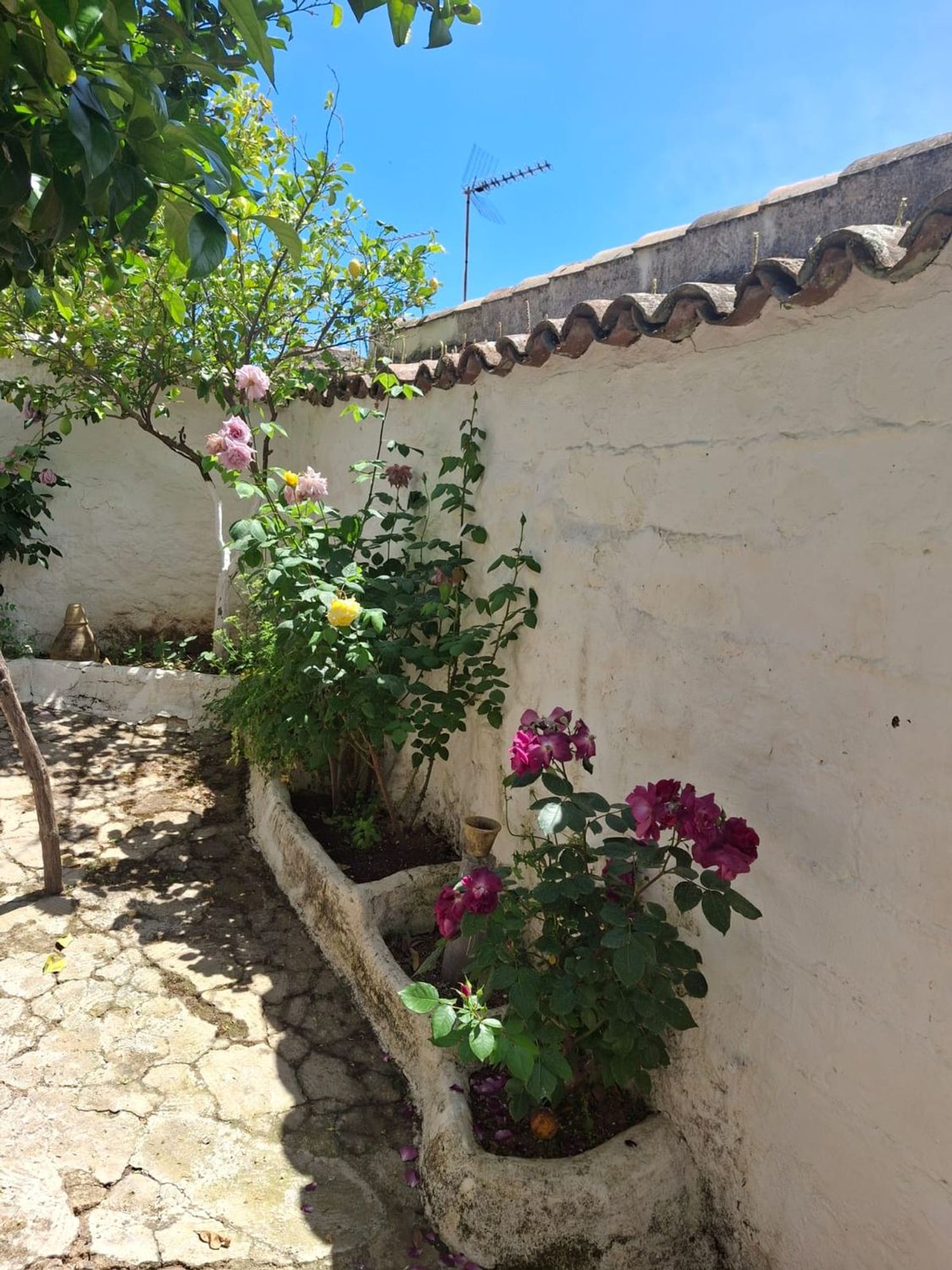 Casa de pueblo en Calle Castelar, 2 - Foto 26