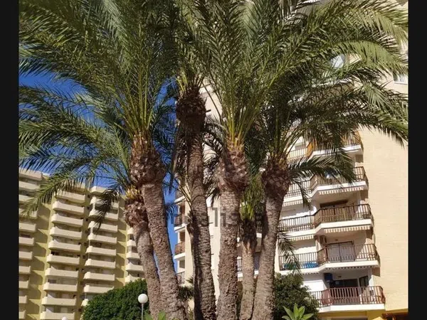 Piso en Avenida Gran Vía de la Manga, 6, Playa del Galán, Playa del Galán - Foto 10