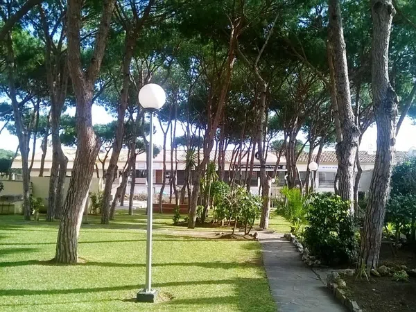 Piso en El Pinar de Calypso, 3, Sitio de Calahonda, Sitio de Calahonda - Foto 19