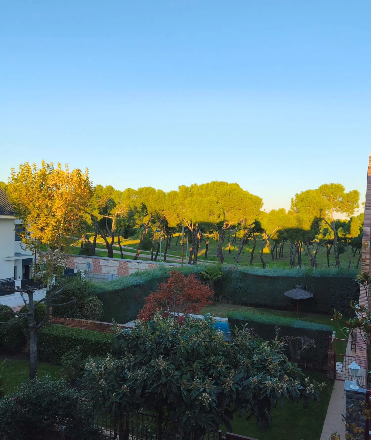 Estudio en Barrio Somosaguas - Foto 1