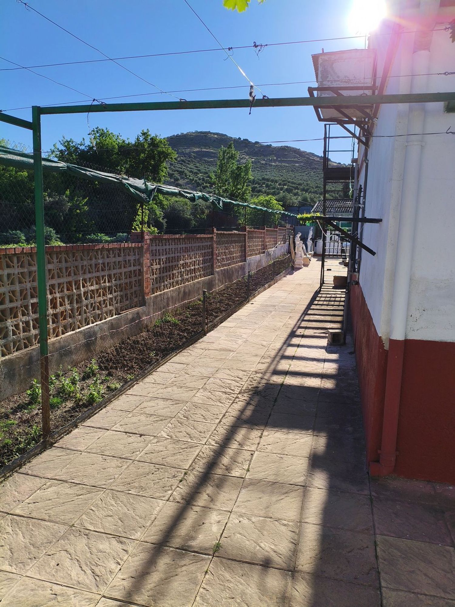 Casa o chalet independiente en Pago de la Fraila & Comunidad Los Chopos s/n - Foto 11