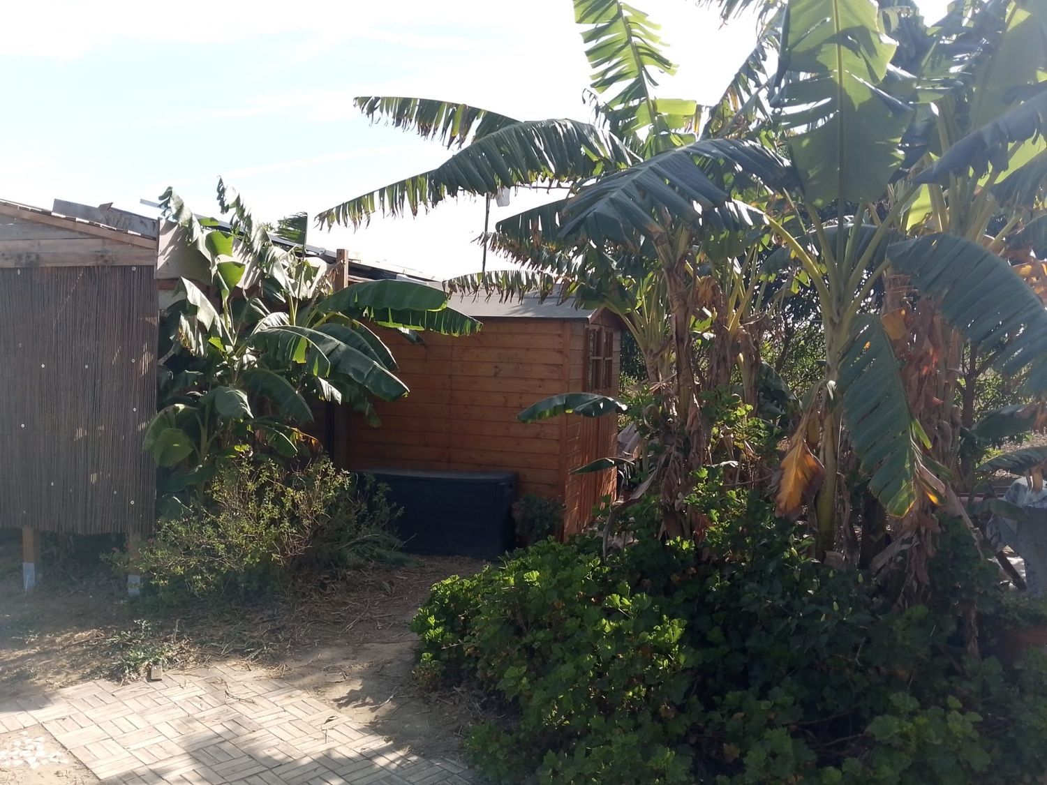 Casa rural en Pago claveran,parcela25,Pago del humo s/n, Pelagatos - Pago del Humo, Pelagatos - Pago del Humo - Foto 10