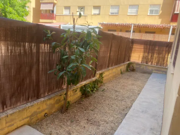 Piso en Avenida Plutarco, 69, El Consul - El Romeral - Foto 8