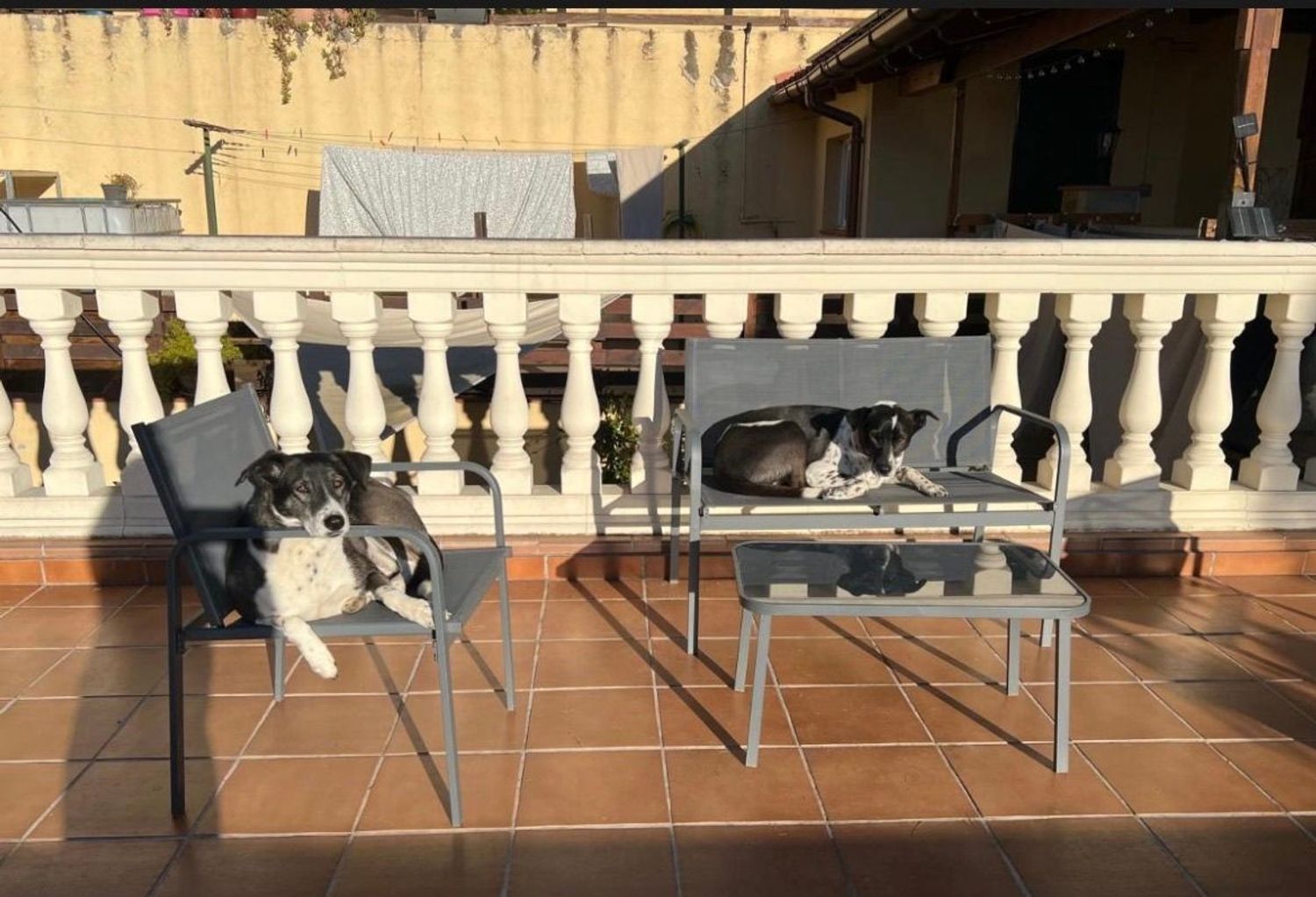 Finca rústica en Joan de Canyamars, 345 - Foto 24