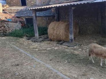 Chalet en Sindran Monforte de Lemos - Foto 4