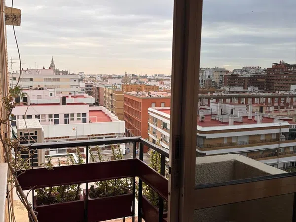 Piso en Calle Trabajo, 4, López de Gomara - Foto 20