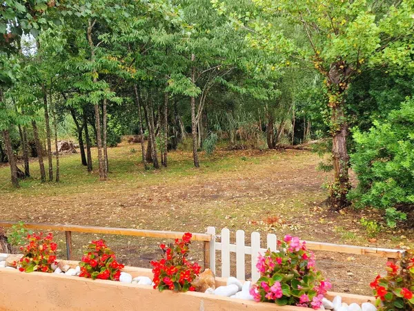 Casa o chalet independiente en Na Marxanda s/n, Canyamel, Canyamel - Foto 4