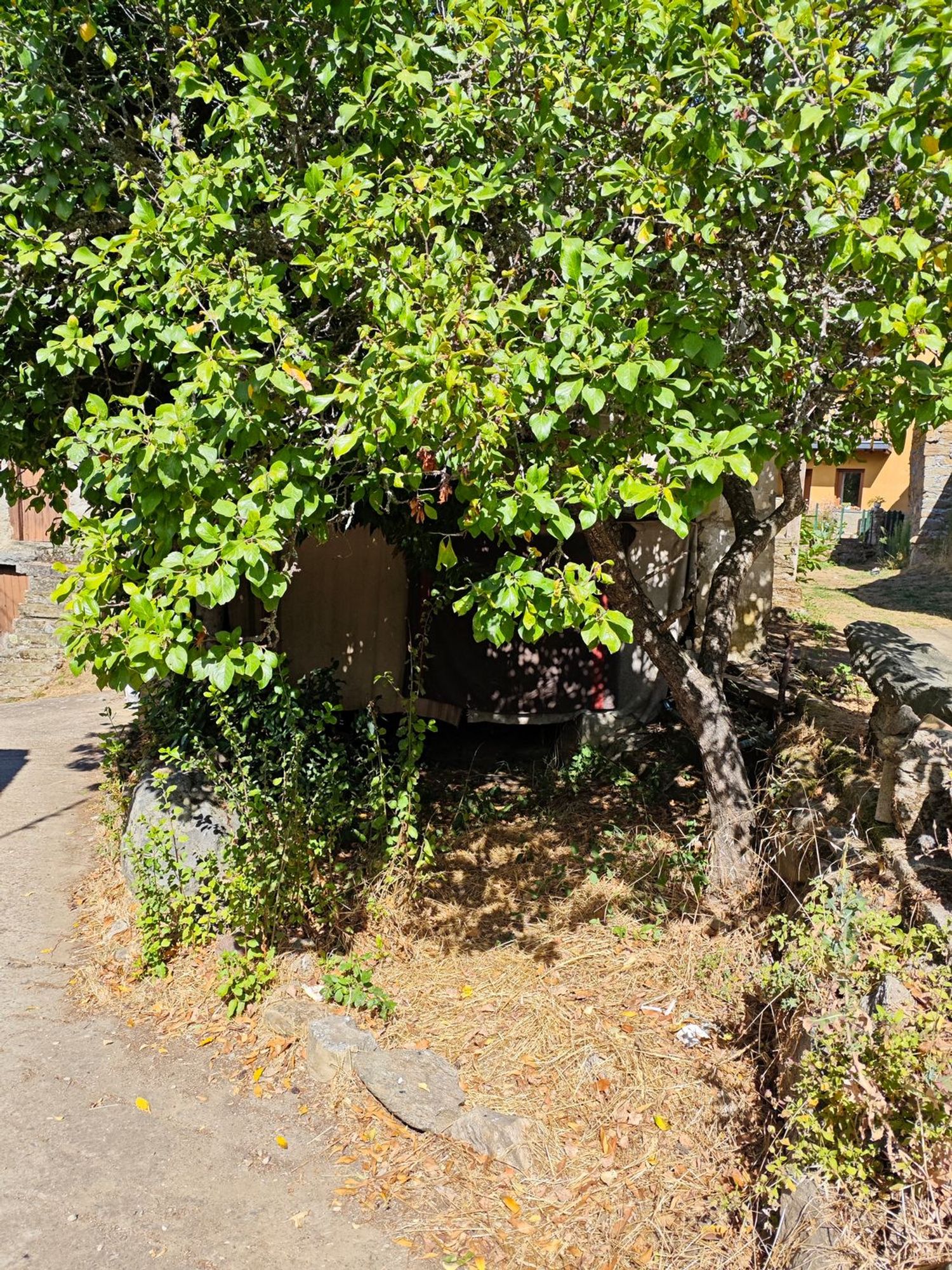 Casa de pueblo en Calle Barrio Abajo, 50 - Foto 12