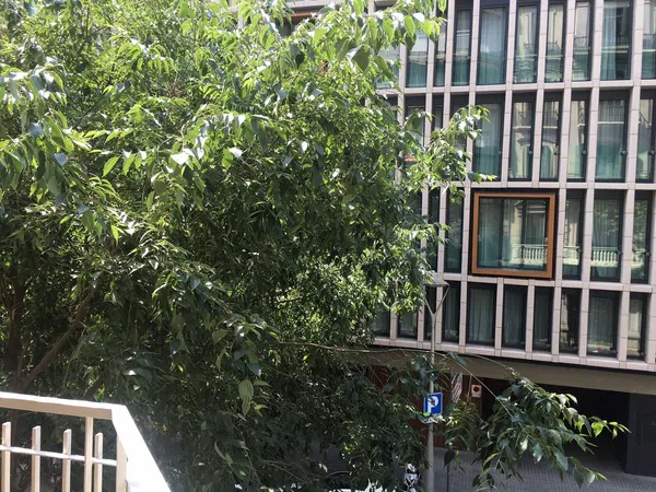 Piso en Barrio La Dreta de l'Eixample - Foto 5