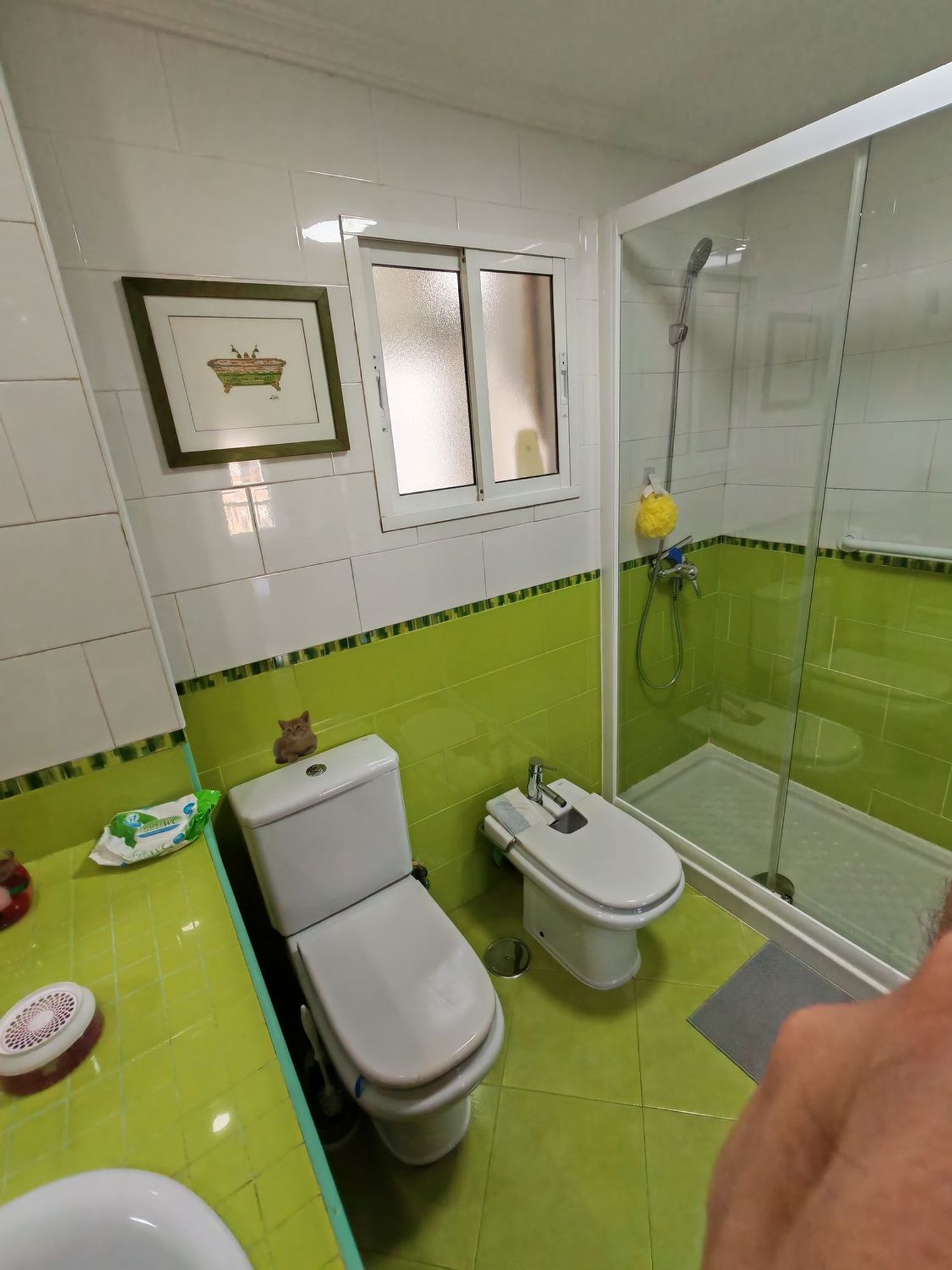 Piso en Calle Jacinto Verdaguer, 11, Perchel sur - El Bulto - Foto 22